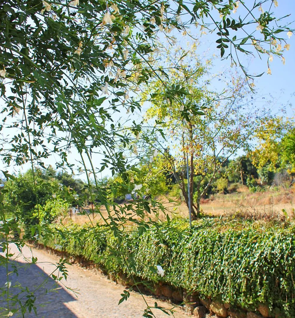 Casa Enriqueta By Sierra Viva Villa Canaleja  0*, Canaleja (Andalucia)